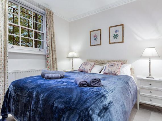 Chelsea Snug With Garden Londres