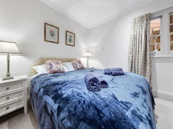 Chelsea Snug With Garden Апартаменты *
